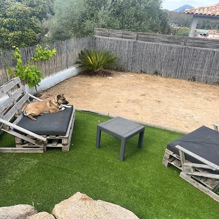 Villa Orethaga Piscine 10 Pers Porto Vecchio Exteriör bild