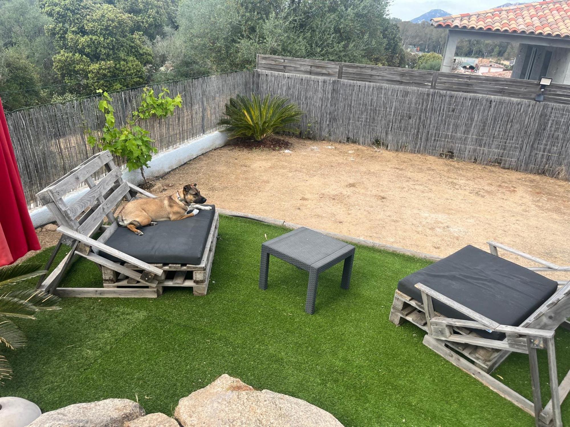 Villa Orethaga Piscine 10 Pers Porto Vecchio Exteriör bild