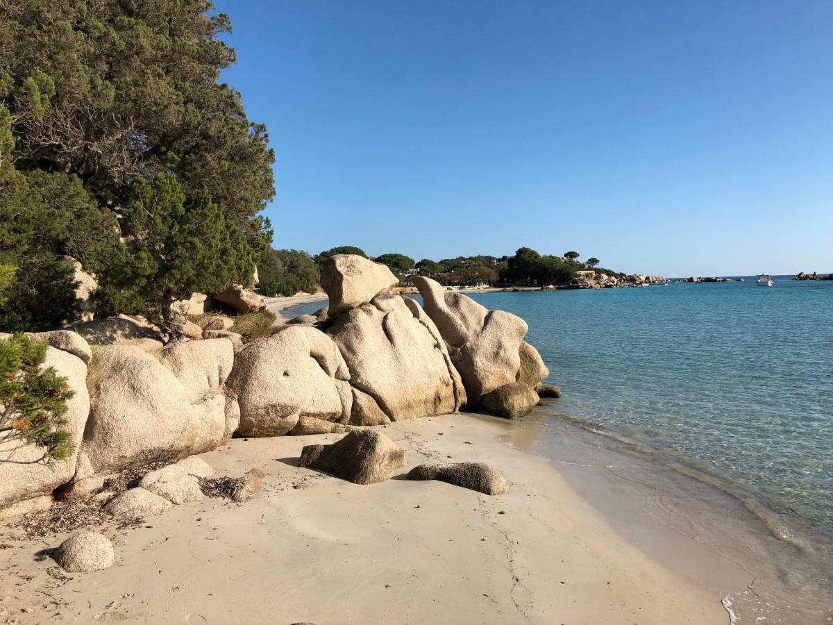 Villa Orethaga Piscine 10 Pers Porto Vecchio Exteriör bild