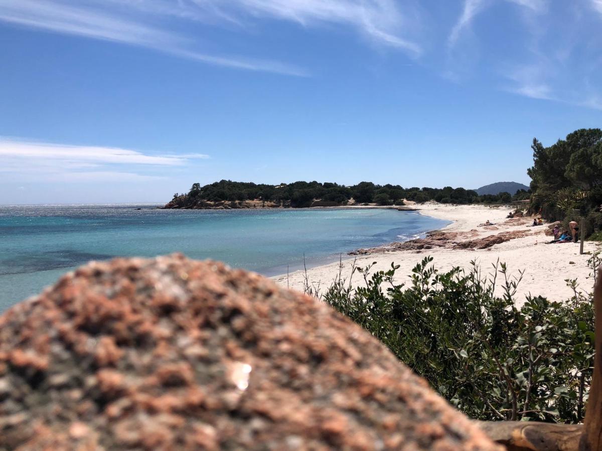 Villa Orethaga Piscine 10 Pers Porto Vecchio Exteriör bild