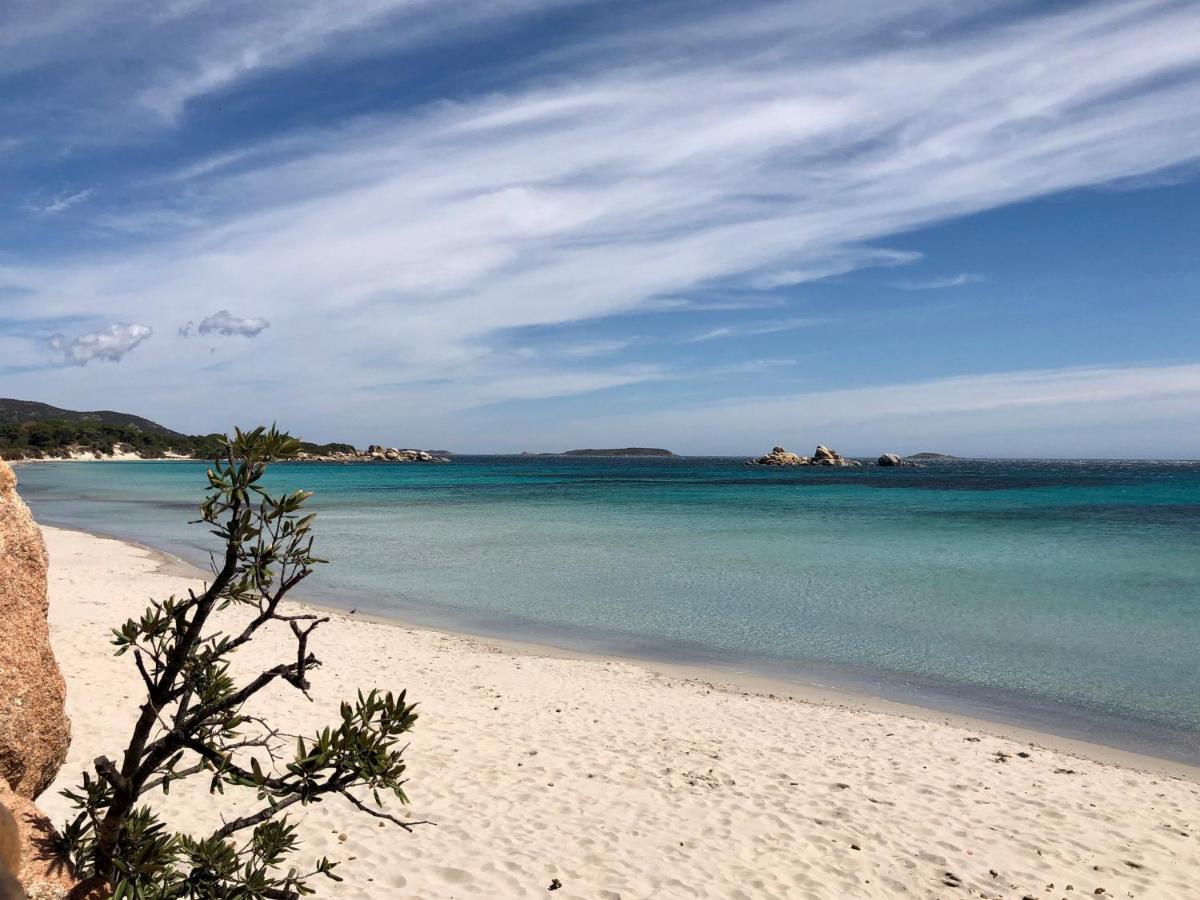 Villa Orethaga Piscine 10 Pers Porto Vecchio Exteriör bild